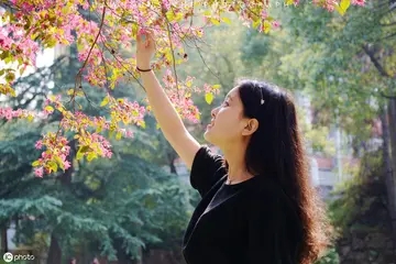 美美的早安心语