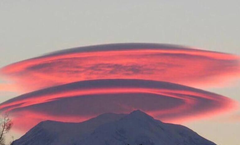 写给爱豆的唯美句子文案