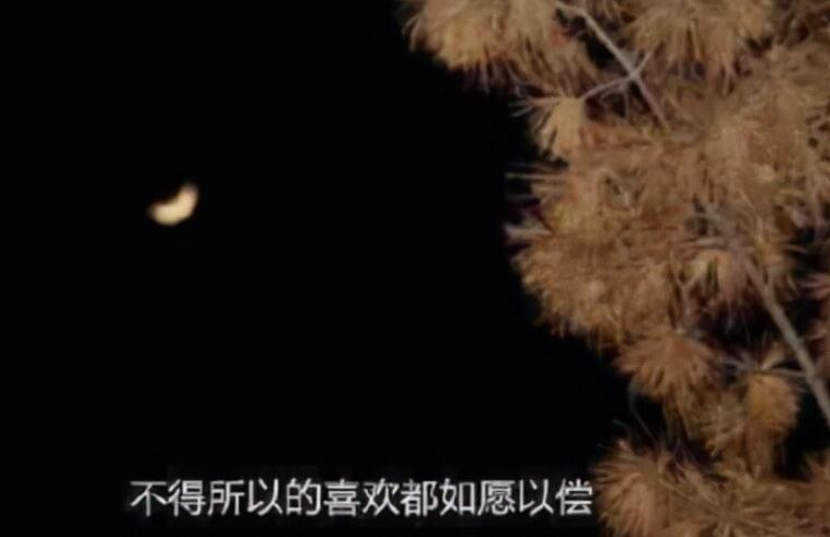 人性的冷漠的经典句子文案