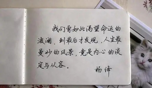 努力与运气的哲理句子文案