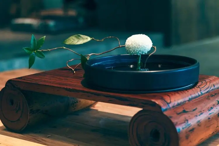 值得的经典句子文案