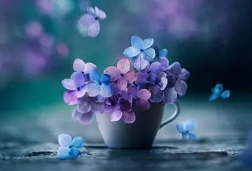 2024晚安励志语录文案