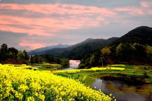 描写家乡的诗句文案