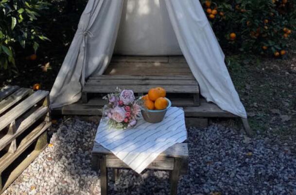 个性签名春天说说文案