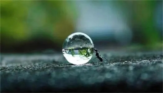 活着很累很想死的说说文案