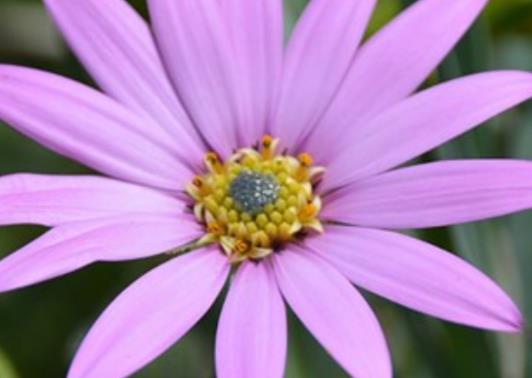 出门远行奋斗的唯美句子文案