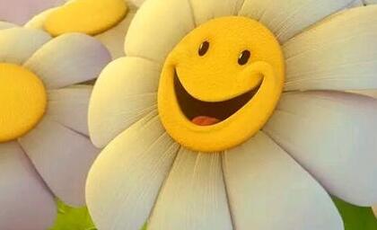 向着太阳的唯美句子文案