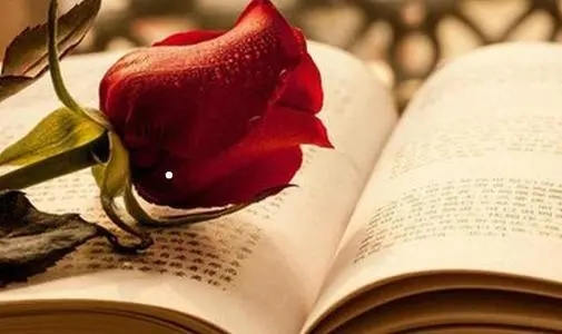 低调做人的经典语录文案