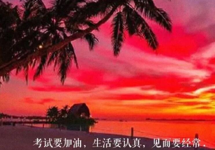 关于年轻真好的句子文案