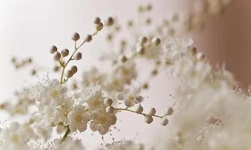 四字文案干净高雅