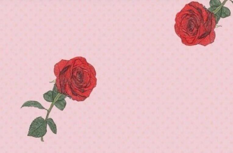 讽刺假正经的人的句子文案