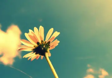 很美好的句子文案简短