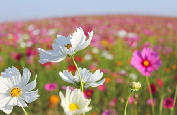 一个人呆着无聊的句子文案