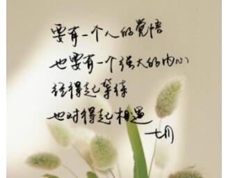 写给自己唯美暖心的话