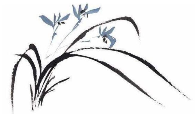 兰花诗句经典名句文案