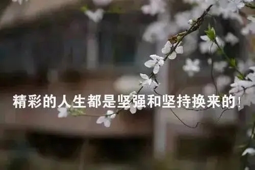 哲理名言美句励志
