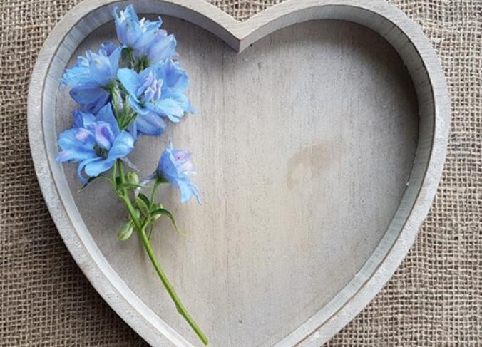 唯美语录文案精选短句阳光