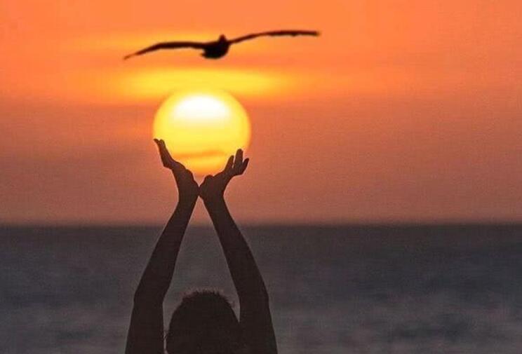 努力奋斗的句子文案