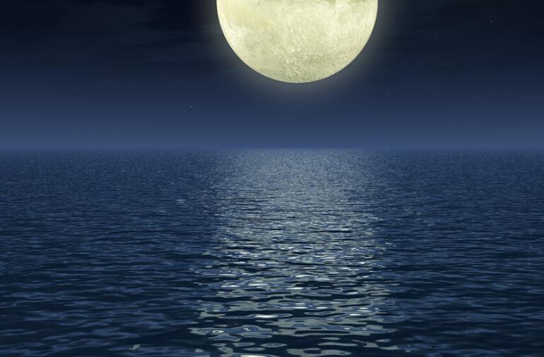 形容一天好心情的诗句文案