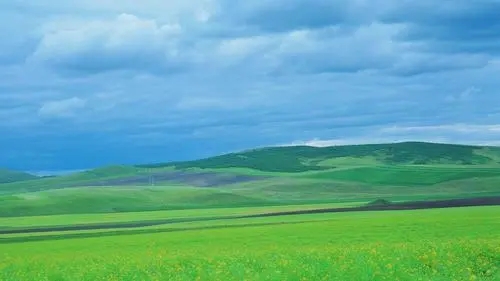 赞美大草原的简短句子文案