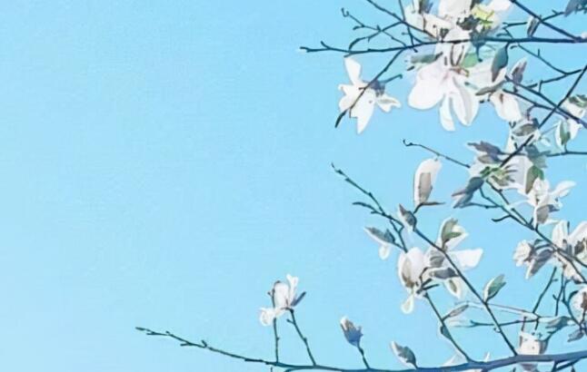 积极向上的句子文案