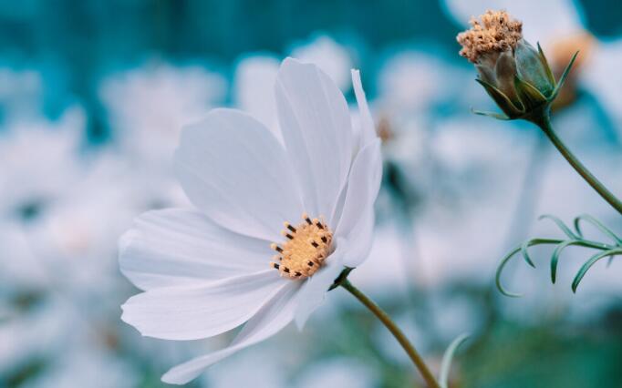 吃亏记到教训的话