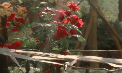 早上好的8字短句