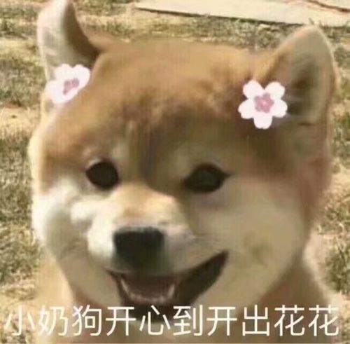 小奶狗撒娇语录文案大全