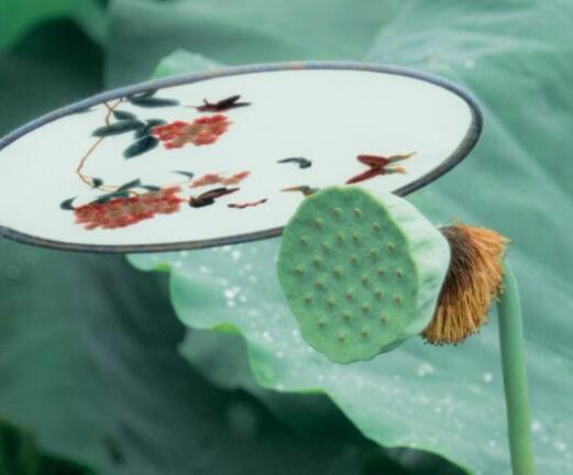 关于花朵的爱情诗句文案