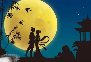 七夕节的俗语和诗句文案有什么