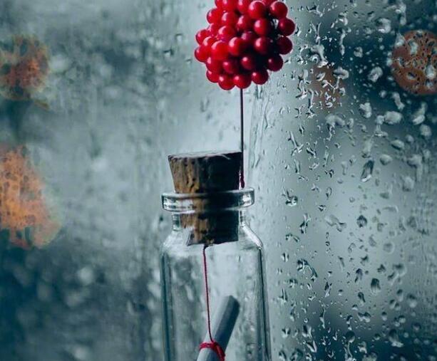 伤感的8个字句子文案