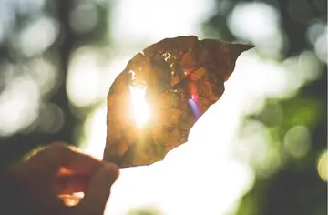 被一个人爱的感觉说说文案