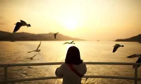 离别的句子文案八个字