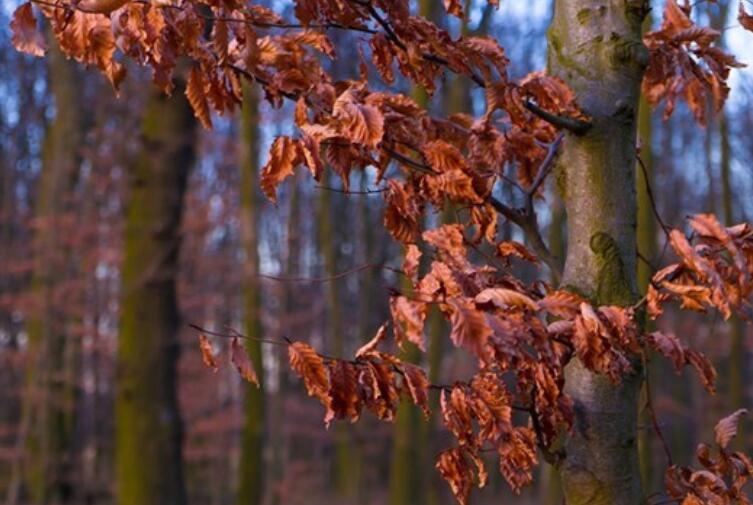 人情世故最精辟的话
