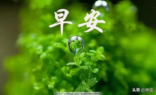 2024年5月17日早安心语