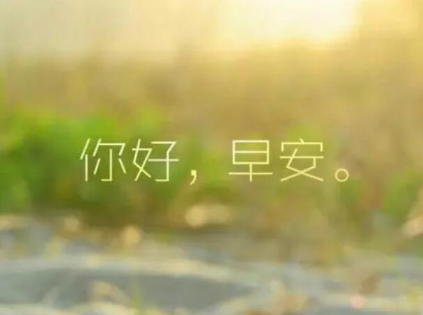 周一给客户发的短信