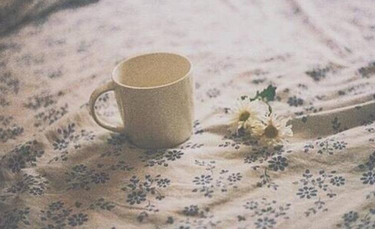 太主动就会廉价的说说文案