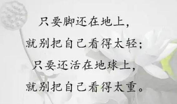 做人的原则和人品句子文案