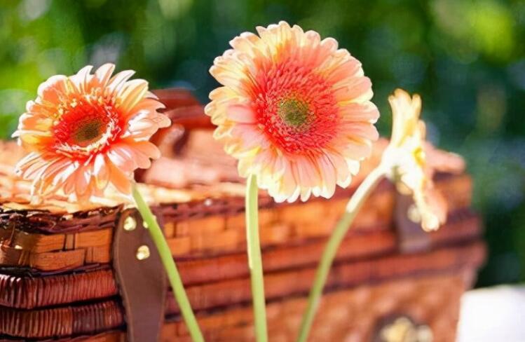 古风唯美句子文案