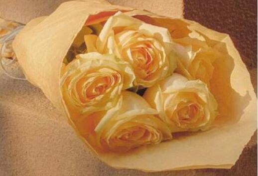 QQ男生温柔个性签名