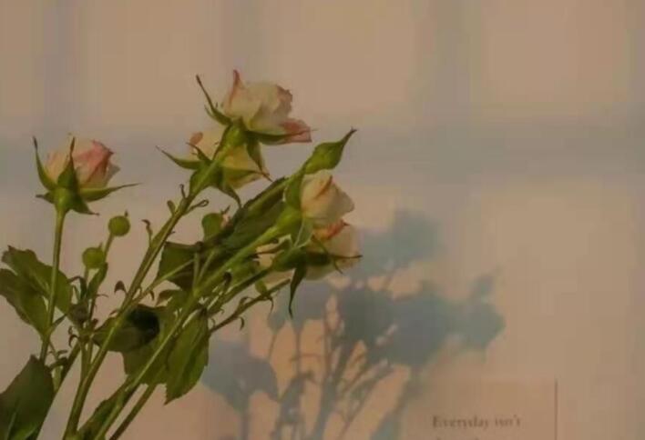 给深爱的人说分手的话