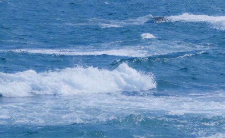 心情美好的句子文案