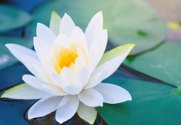 不过情人节过儿童节的说说文案