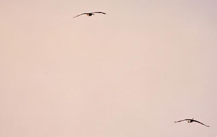 适合发说说文案的好看图片