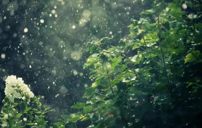 描写春天雨水节气的诗