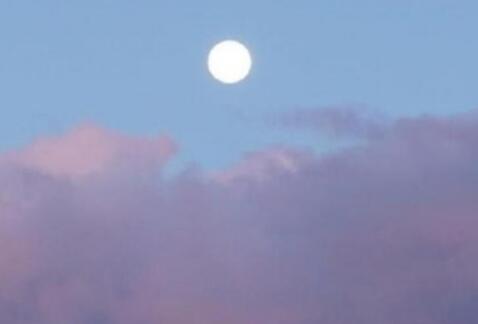 夏天的小文艺句子文案