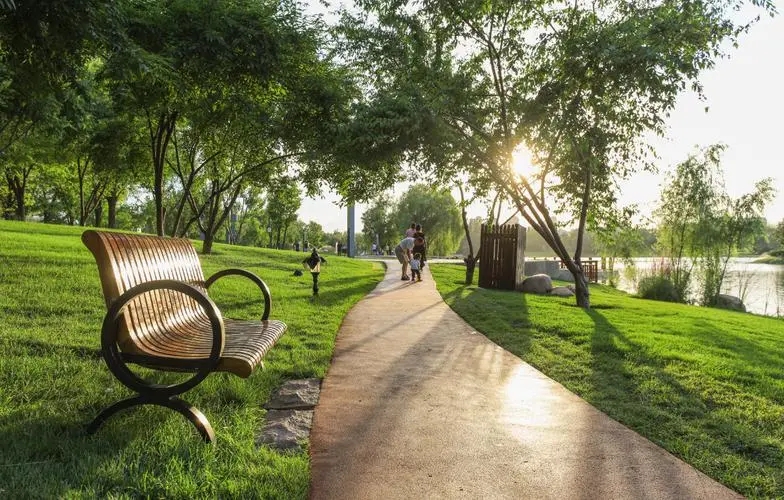 每天努力一点点语录文案