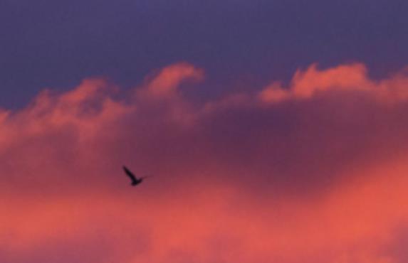 假期开启的简短说说文案