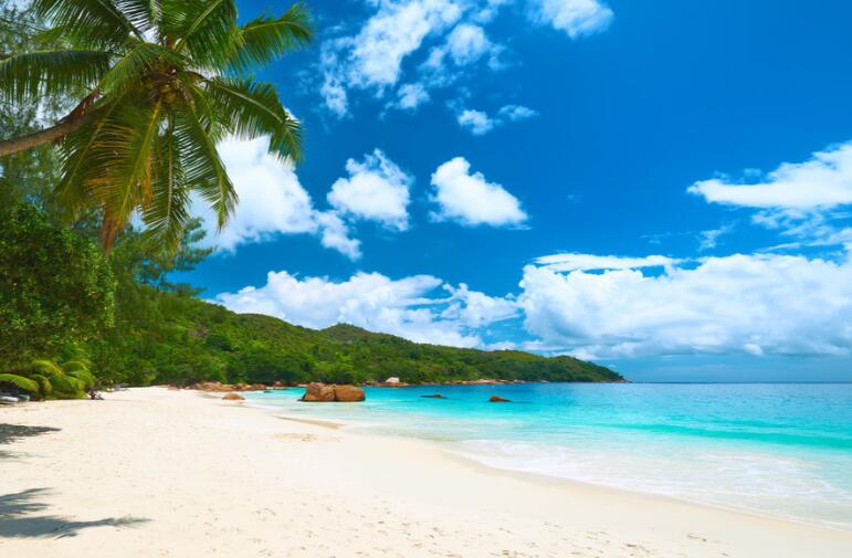 关于伤痕的唯美句子文案