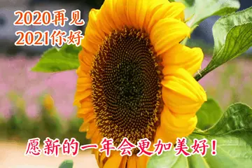 2021最新短句暖心